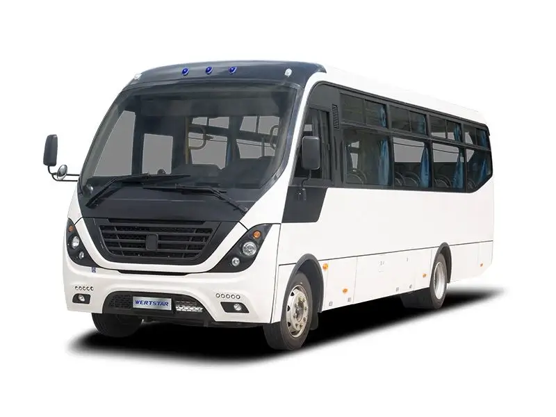 Mini Coach