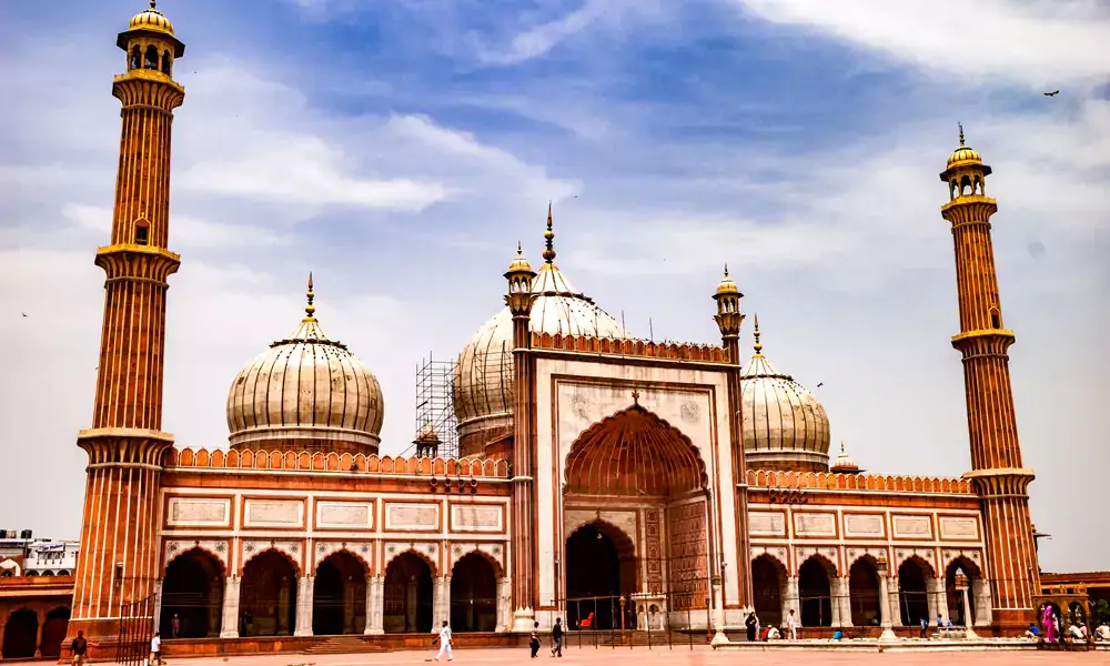DELHI (1)