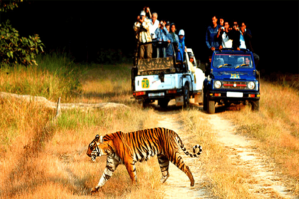 Jim Corbett (1)