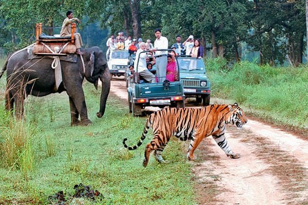 Jim Corbett (3)