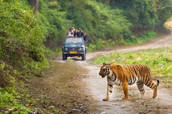 Jim Corbett (5)