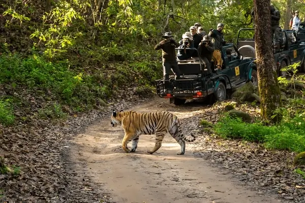Jim Corbett (5)
