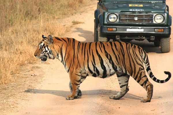 Panna-National-Park 1