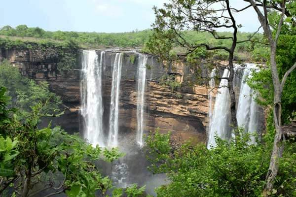 Panna-National-Park 4