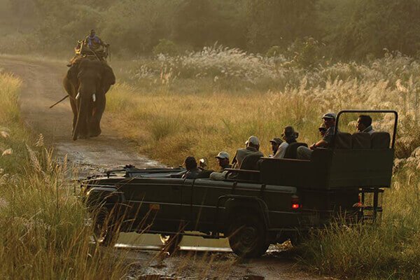 Panna-National-Park 6