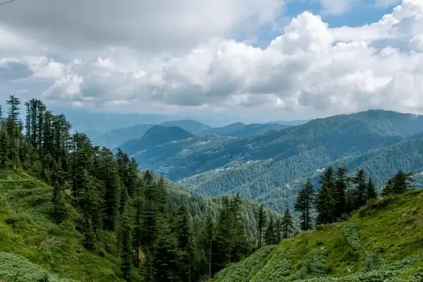 Shimla (3)