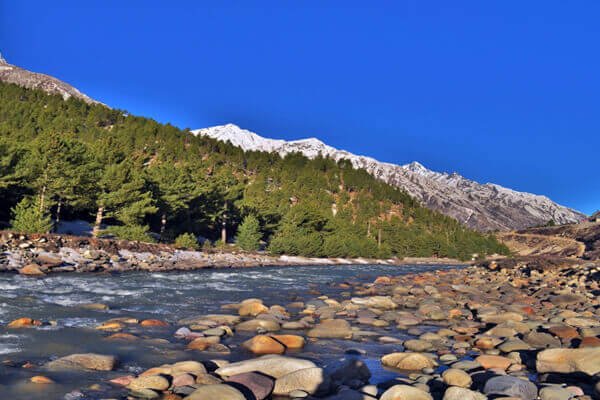 Shimla (4)