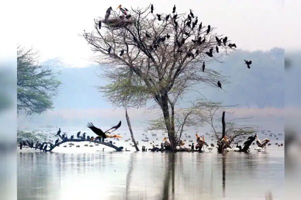 Sultanpur (1)