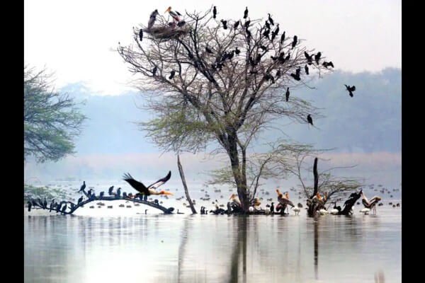 Sultanpur (2)