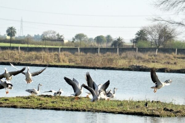 Sultanpur (2)