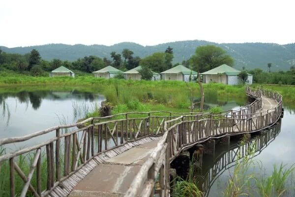 sariska (2)
