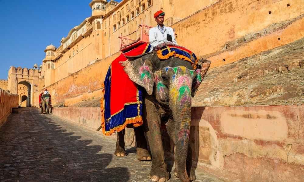 Golden Triangle Tours 3 (3)