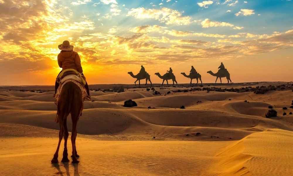 Royal Rajasthan Tours (2)