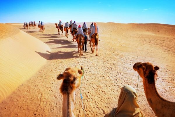 Desert Rajasthan (2)