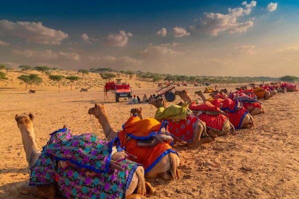 Rajasthan Cultural Tour